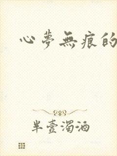 心梦无痕的小说