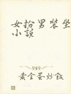 女扮男装坐江山小说