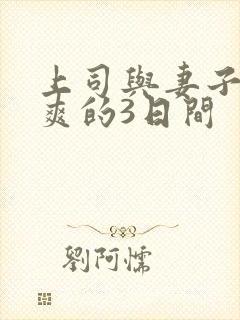 上司与妻子干到爽的3日间