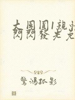 大团圆1亲情会闪闪发光免费