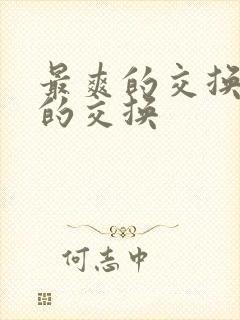 最爽的交换疯狂的交换