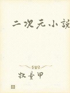 二次元小说网站