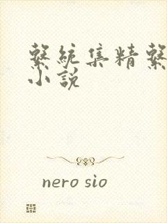 系统集精系统 小说