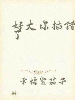 好大你插错地方了