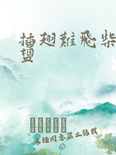 插翅难飞柴米油盐