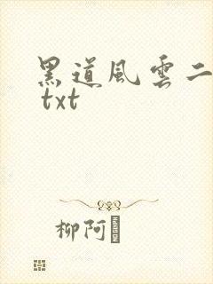 黑道风云二十年 txt