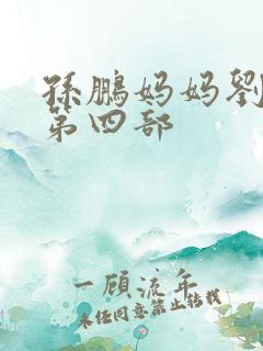 孙鹏妈妈刘淑英第四部