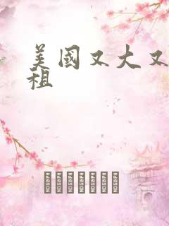 美国又大又长又租