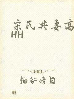 宋氏共妻高黄HHH