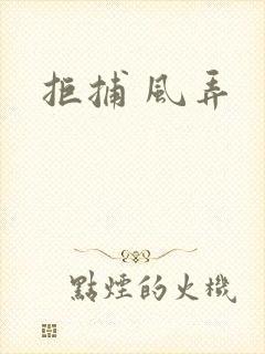 拒捕 风弄