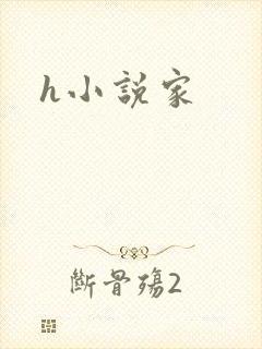 h小说家