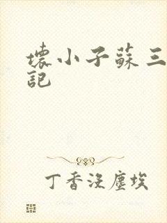 坏小子苏三风流记