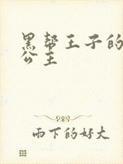 黑帮王子的淘气公主