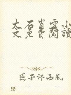 大石肖雪小说全文免费阅读