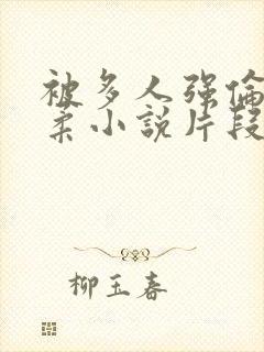 被多人强伦的小柔小说片段