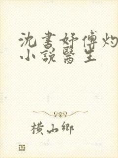 沈书妤傅灼抖音小说医生