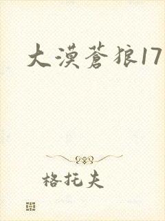 大漠苍狼17