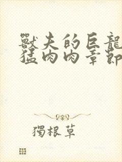 兽夫的巨龙太凶猛肉肉章节