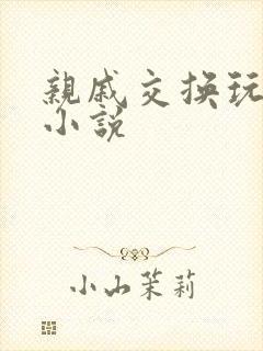 亲戚交换玩美妇小说