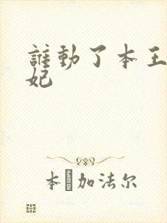 谁动了本王的悍妃