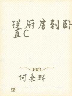 从厨房到卧室一直C