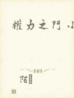 权力之门 小说