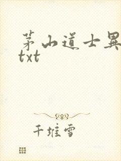 茅山道士异界游txt