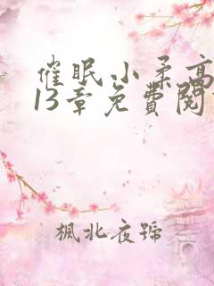 催眠小柔高达第13章免费阅读