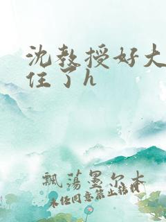 沈教授好大含不住了h