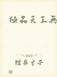 极品天王无弹窗
