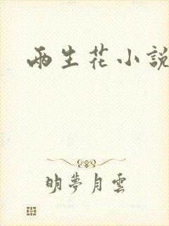 两生花小说