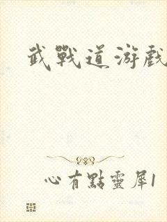 武战道游戏