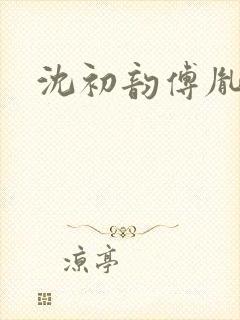 沈初韵傅胤小说