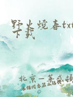 野火烧春txt下载