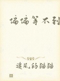 偏偏等不到小说