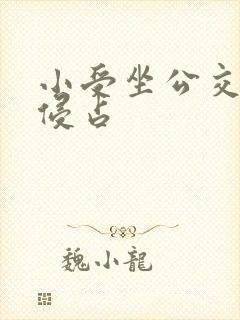 小受坐公交车被侵占