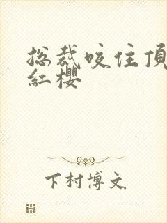 总裁咬住顶端的红樱