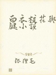 白衣校花与大长腿小说