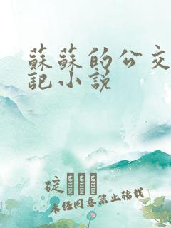 苏苏的公交车日记小说