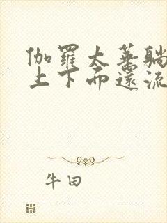 伽罗太华躺在床上下面还流东西