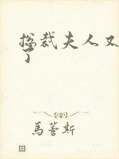 总裁夫人又征婚了