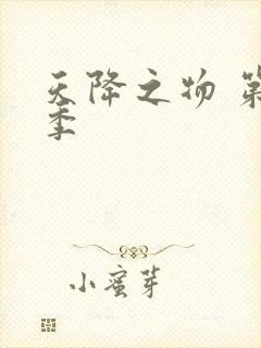 天降之物 第一季