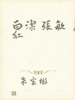 白洁 张敏 美红