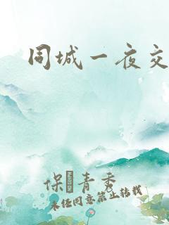 同城一夜交友