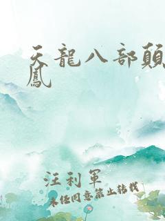 天龙八部颠龙鸾凤