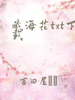 藏海花txt下载