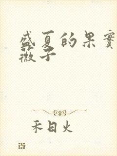 盛夏的果实 小薇子