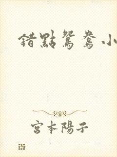 错点鸳鸯小说