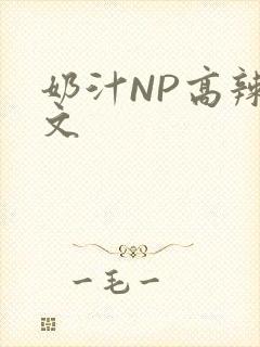 奶汁NP高辣H文