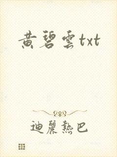 黄碧云txt